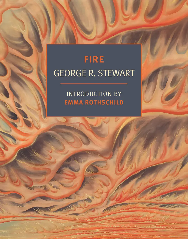 Book cover reading with the title 'Fire' featuring an illustration of vibrant orange flames.